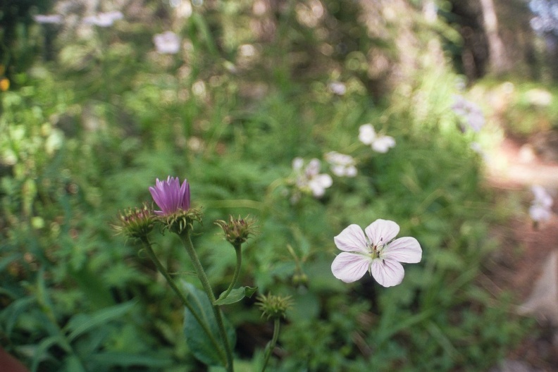 Baker Gulch Trail 13.jpg